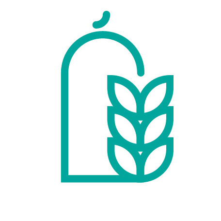 وقف القرض الحسن